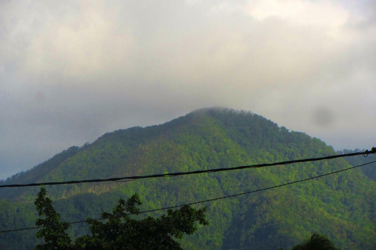Or Bleu-Bungalow Volcan Soufriere-Vue Sur Mer Saint-Claude Exterior foto