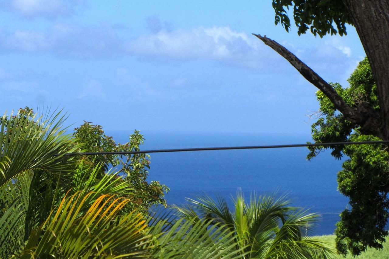 Or Bleu-Bungalow Volcan Soufriere-Vue Sur Mer Saint-Claude Exterior foto